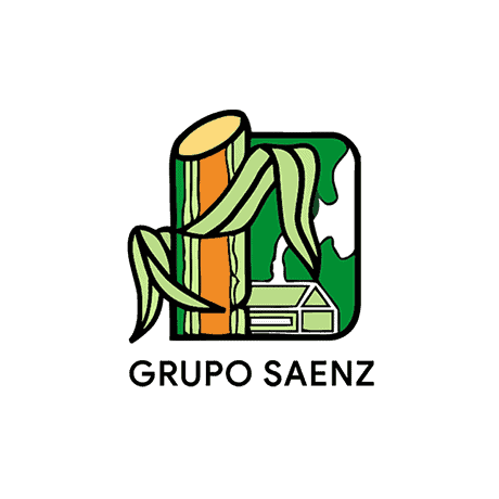 Grupo Saenz