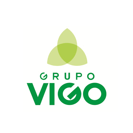 Grupo Vigo